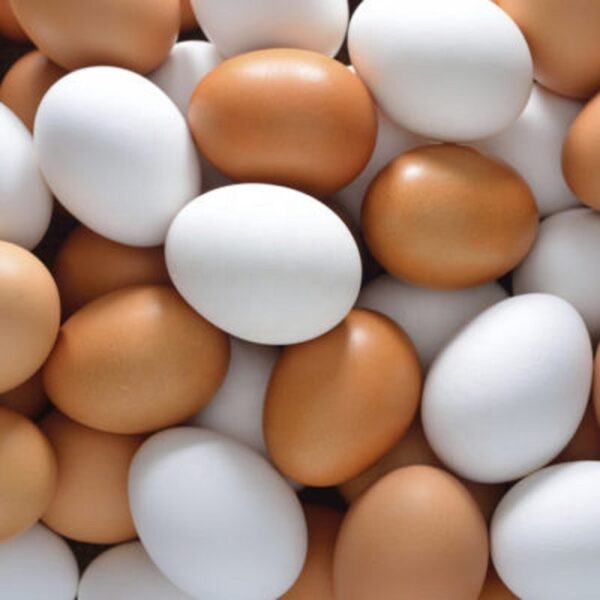 Table Eggs