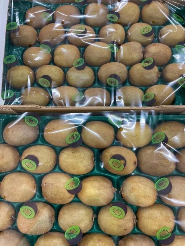 Kiwifruit