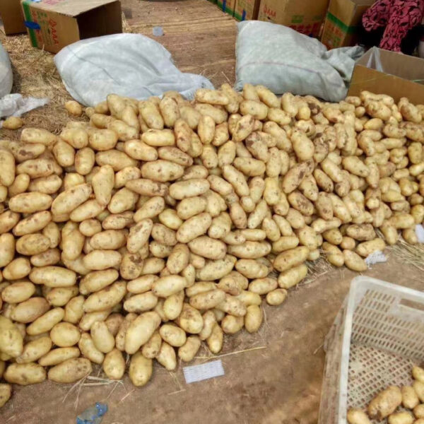 Potatoes