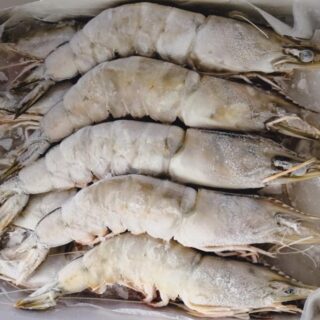 Frozen Shrimp / Prawn