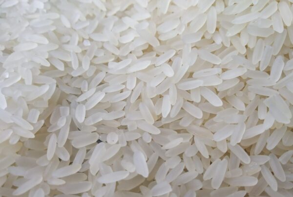 Rice