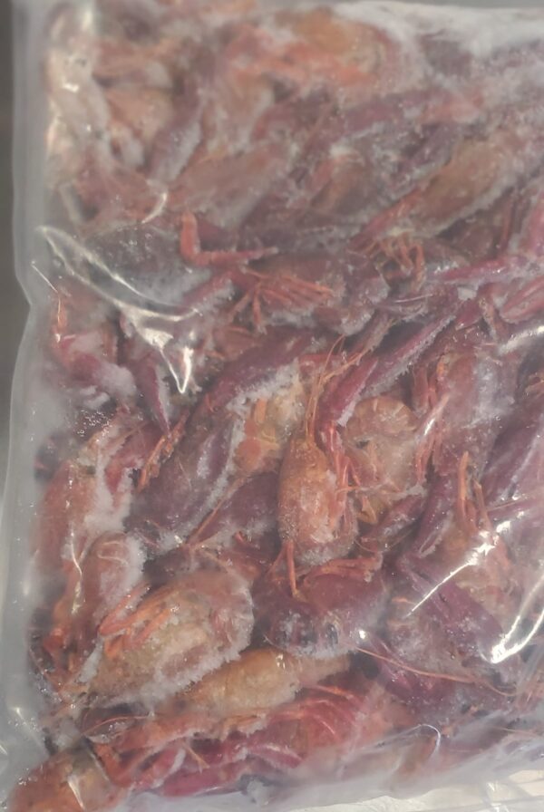 Frozen Crawfish