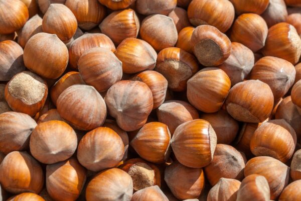 Hazelnuts