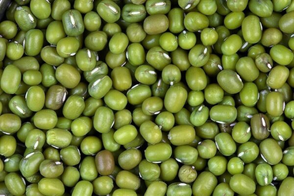 Green Mung Beans