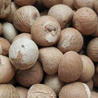 Dried Betel Nut