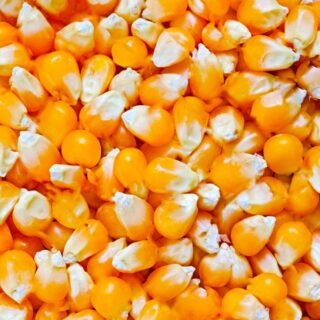 Yellow / White Maize