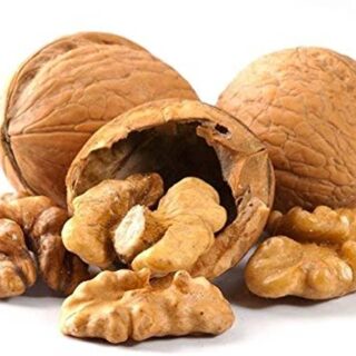 Walnut