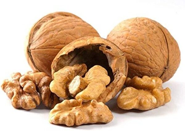 Walnut