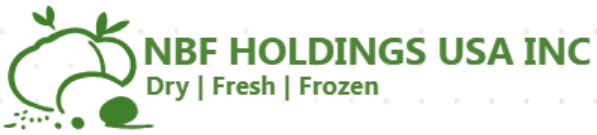 NBF HOLDINGS USA INC